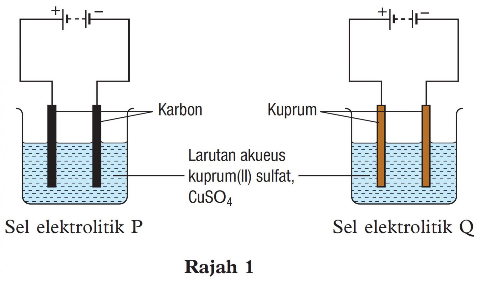 Praktis Sumatif (Soalan 1) - Sains Tingkatan 5 (KSSM) Bab 6 - Sains SPM