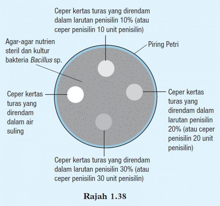 Eksperimen 1 3 Sains Tingkatan 5 Kssm Bab 1 Sains Spm